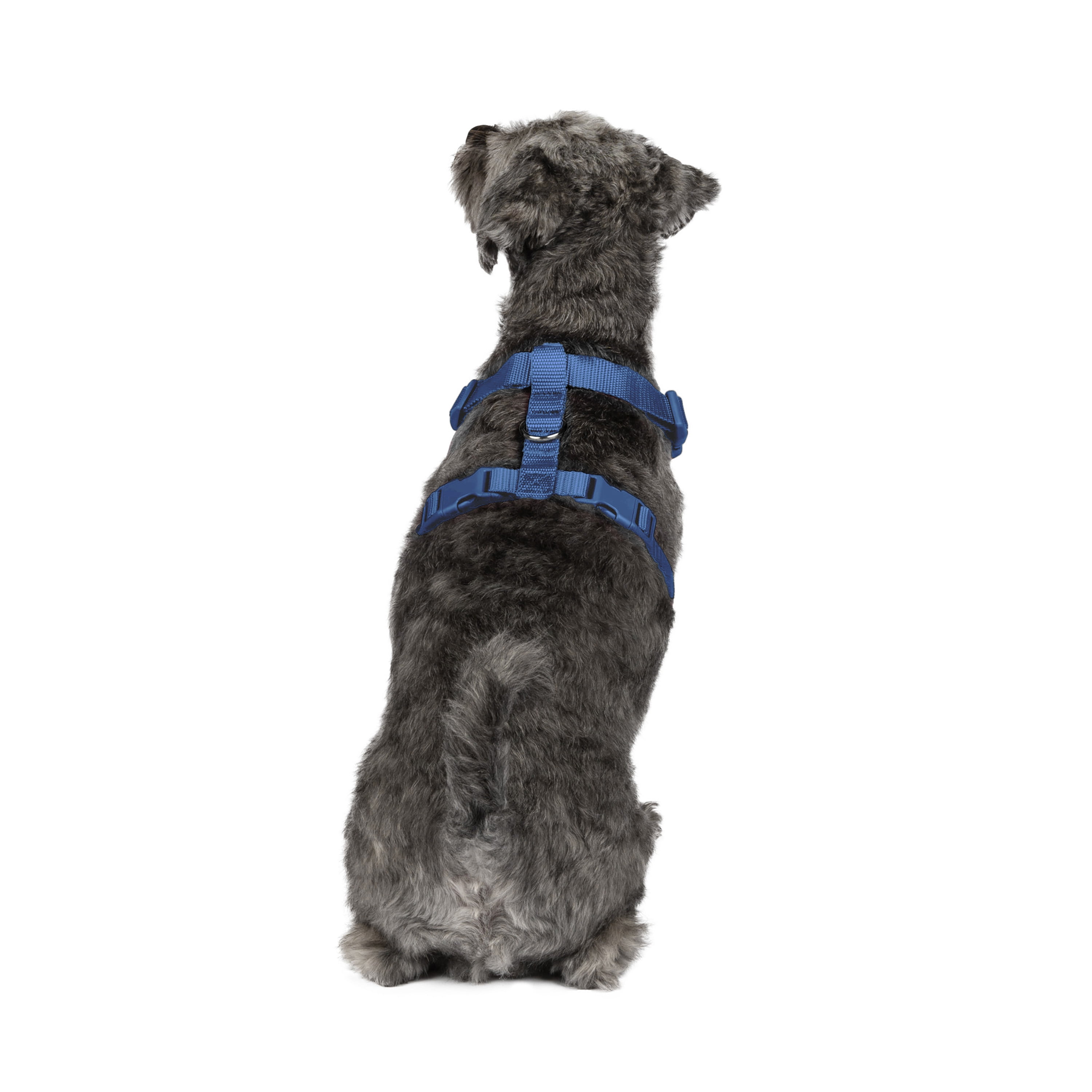 Vibrant Life Polyester Mesh Adjustable and Reflective Dog Walking Harness, Blue, S