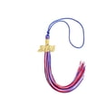 thumbnail image 5 of Class of 2026 Tassel Graduation, Graduation Tassel, 2026 Tassel Charms for Graduations Cap Decorations, Tassels Memorial Grad Cords for College High School Graduate Hat Ceremonies Accessories, 5 of 5