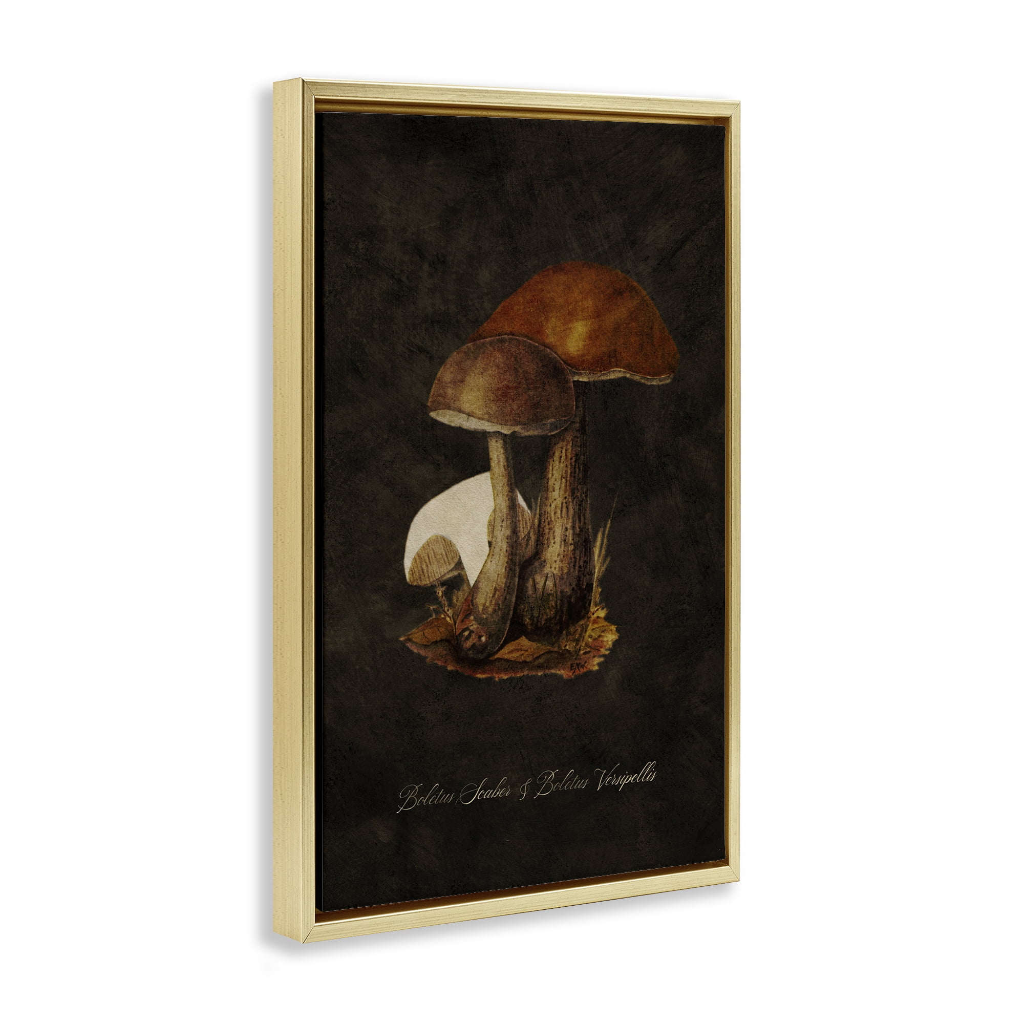 Stupell Industries Mushroom Types Study Plants & Flowers Painting Gold Floater Framed Canvas Art Print Wall Art, 17 x 25