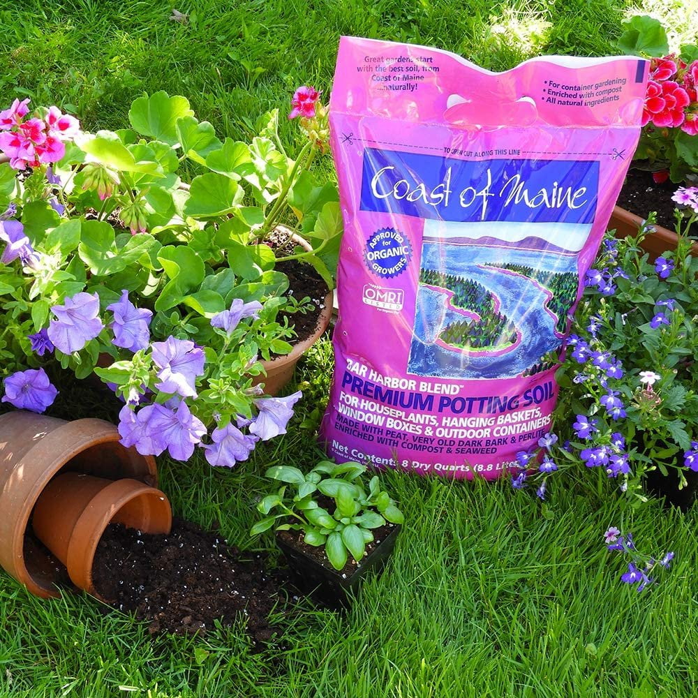 Coast of Maine Bar Harbor Blend Organic Potting Soil for Container Gardens and Flower Pots, 8qt