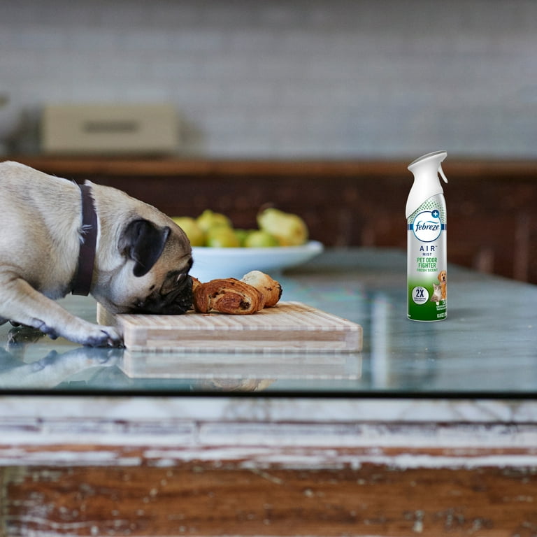 Febreze pet odor eliminator walmart hot sale