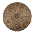 thumbnail image 3 of Acorn Manufacturing DP7PP Artisan Collection Sea Urchin Knob, Antique Pewter, 3 of 3