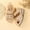 Women Beige Shoes#1, variant on Lace Up Sadals for Women, Gladiator Flat Sandals for Women Grils, Leather Crossover Flip-Flops, Fashion Thong Strappy Ankle Strap Sandals