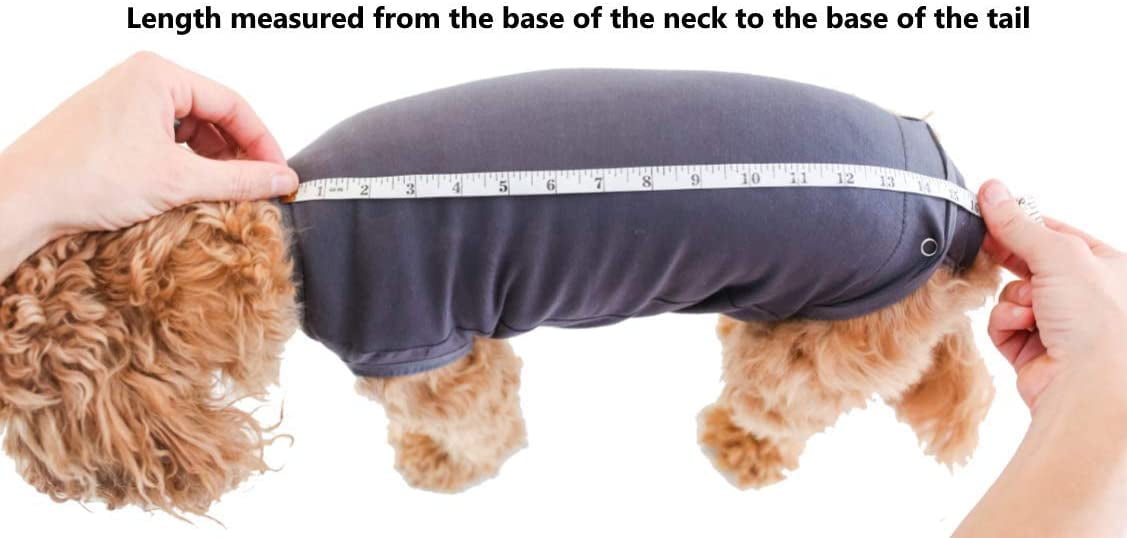 belly wrap for dogs after surgery
