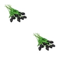thumbnail image 2 of Advancent 10 bolsas añaden elegancia a la boda con decoración de flores de plantas verdes como flores. negro 2Conjunto, 2 of 6
