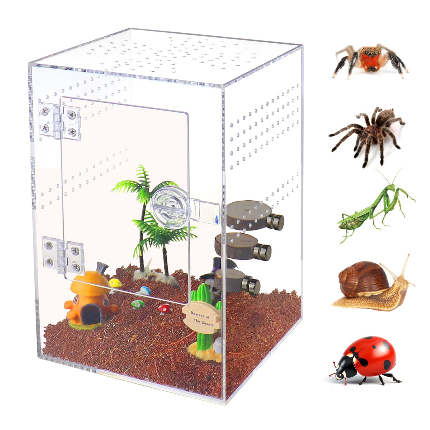 Tarantula Box Clear Critter Cage Jumping Spider Enclosure Clear Acrylic Reptile ...