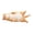 C, variant on YIFAEUX PVC Simulated Cat Model Miniature Kitten Figurine Statue Sculpture Educational Animal Toy Desktop Decoration Ornament Cat Lovers Gift