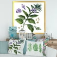 thumbnail image 3 of Designart 'Purple Sesame Flowers WIth Green Leaves On White' Traditional Framed Art Print, 3 of 4