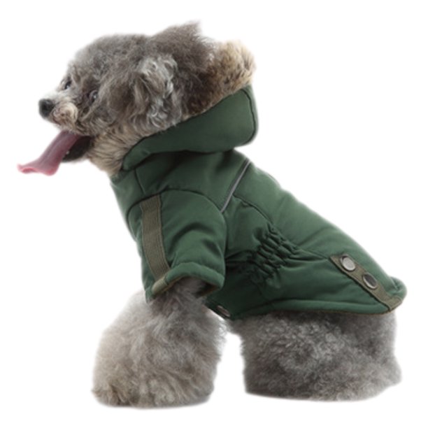 1 Uds. Sombrero de felpa verde perro invierno abrigo acolchado de algodón pecho espalda