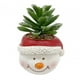 thumbnail image 5 of Plantas artificiales en macetas navideñas, maceta de imitación, adorno navideño, artesanía exquisita, maceta de resina realista de 7x7x11cm para sala Muñeco de nieve BLESIY Centros de mesa de escritorio, 5 of 8