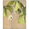 thumbnail image 3 of Hannah Borger Overbeck 20x24 Black Modern Framed Museum Art Print Titled - May Apple (circa 1915), 3 of 5
