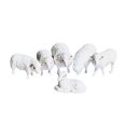 thumbnail image 1 of Figurines en Résine Échelle 1:87 Modèle de Ferme Simulation 6 Moutons, 1 of 7