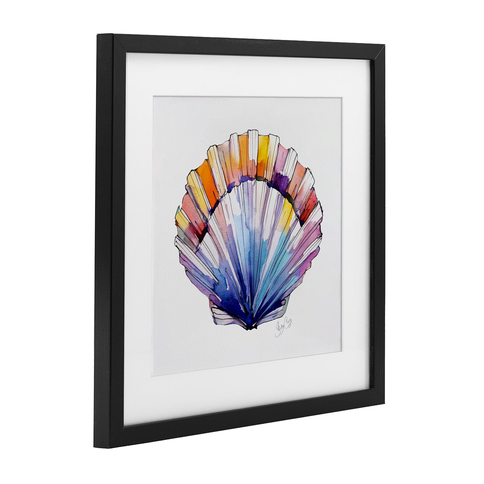 Stupell Industries Coastal Scallop Watercolor Black Framed Print Under Glass, design by Shelly Craig