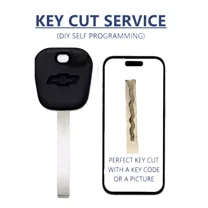 Key Cut Service   B119 Chevrolet 2010 - 2019 46e Chip Program Yourself