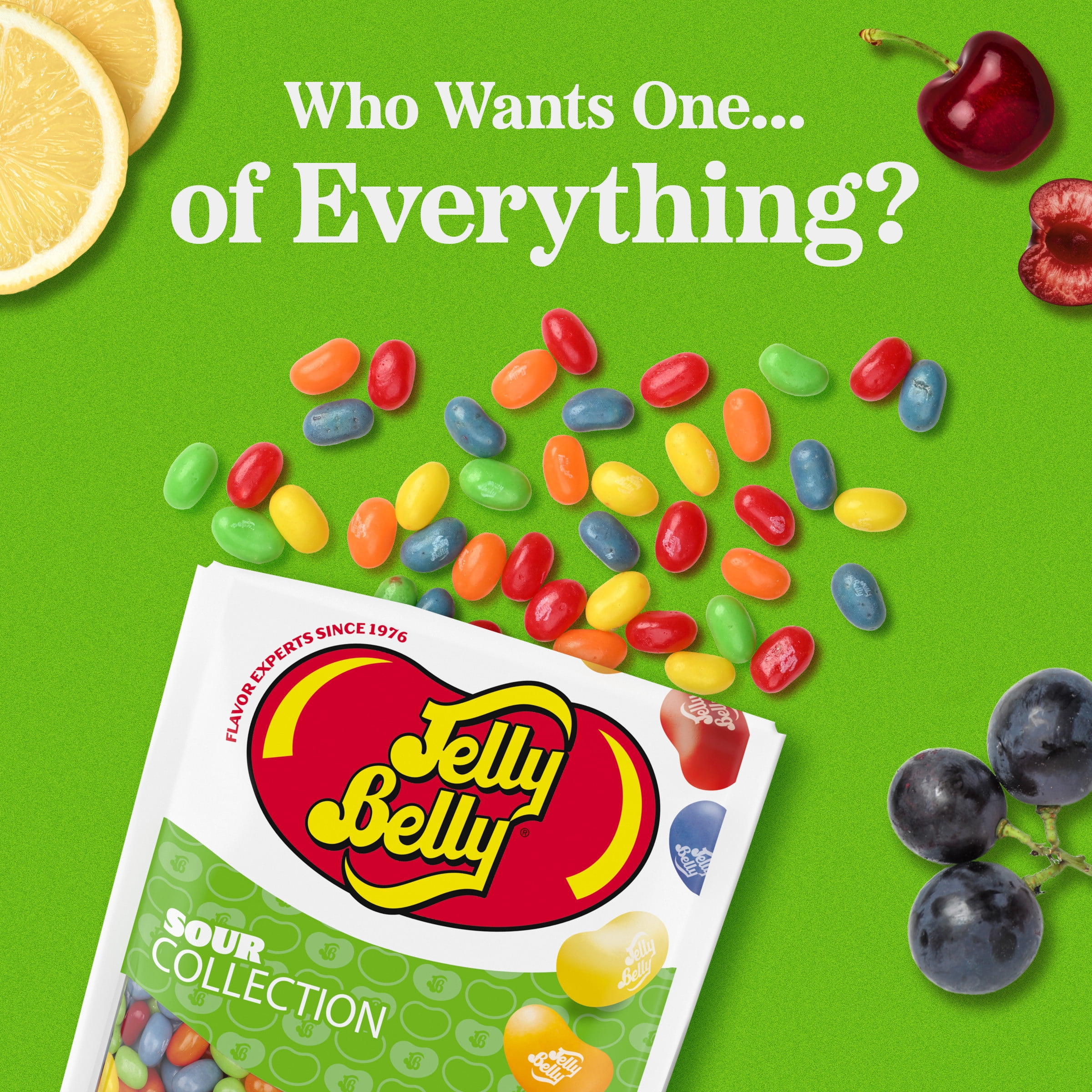 Jelly Belly Sour Jelly Bean Collection - 8 oz Pouch Bag, 10-Count Case - Genuine, Official, Straight from the Source