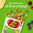 thumbnail image 2 of Jelly Belly Sour Jelly Bean Collection - 8 oz Pouch Bag, 10-Count Case - Genuine, Official, Straight from the Source, 2 of 11