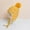 Yellow, variant on Idoravan Winter Hats for Women Clearance Women Winter Fashion Colorful Cold and Warm Ear Protection Cap Black