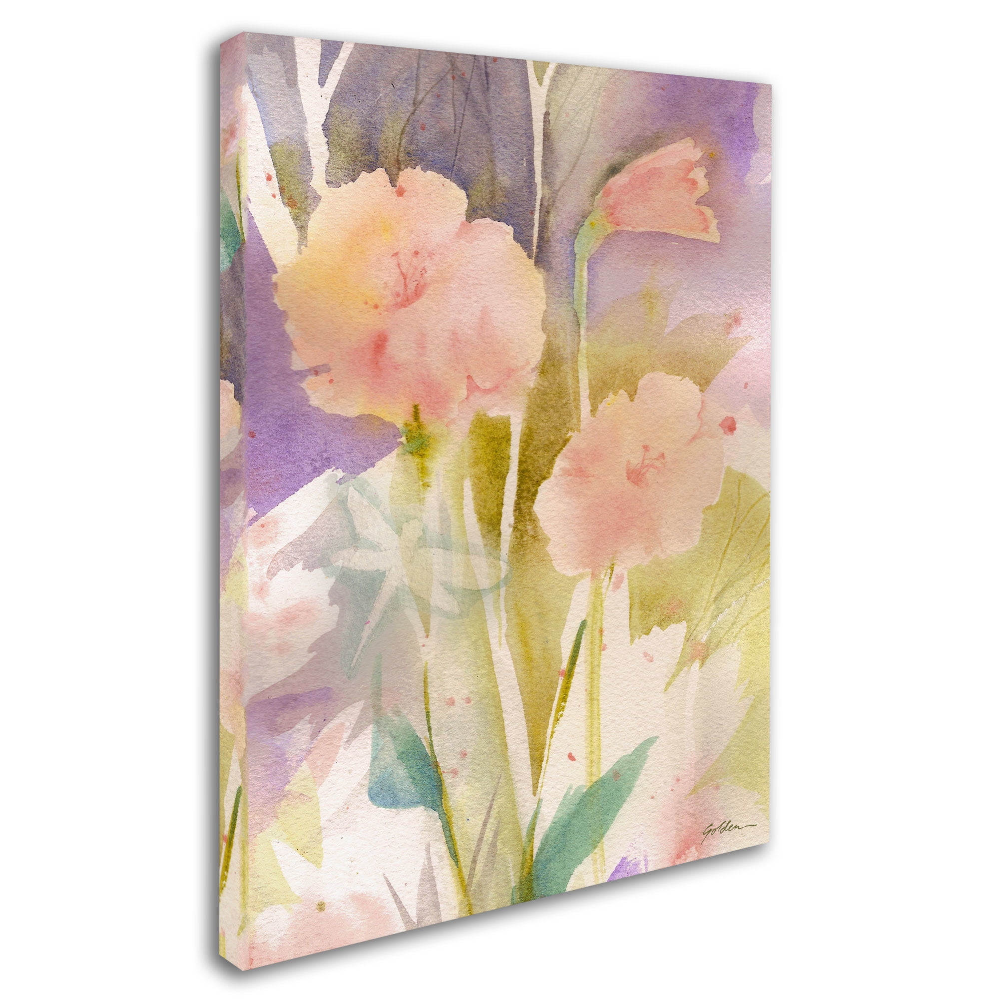Trademark Fine Art "Pink Dragonfly Shadows" Canvas Art by Sheila Golden