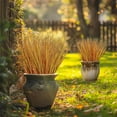 thumbnail image 5 of Zukuco 16PCS Fake Autumn Red Grass Decor Artificial Grass Plants Outdoor Artificial Tall Shrubs Wheat Grass Greenery Stems Faux UV Resistant Grass Artificial Plant for Outdoor Indoor Home Decor, 5 of 7