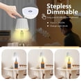 thumbnail image 3 of LED Wine Bottle Lamp 3 Colors Dimmable Wine Bottle Light Cordless Table Lamp 1800mAh USB Rechargeable Table Light, 3 of 8