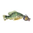 thumbnail image 1 of Sunfish with Rope, 1 of 1