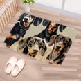 thumbnail image 5 of Dachshund Polyester Non-Slip Office Mat & Kitchen Rug, Machine Washable Door Mats, 5 of 6