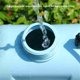 thumbnail image 5 of 5L Recargable 5L Sprovelador de Hombros Recargable Humnero Eléctrico Herramientas Agricultura Riegue Cat Atomizante de la Botella de Agua Agua de Agua Plantas de Jardín Rociador, 5 of 7