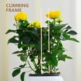 thumbnail image 2 of Wood Plant Support Sticks for Gardening Khaki Climbing Sticks for Peas Roses and Tomatoes 20pcs, 2 of 11