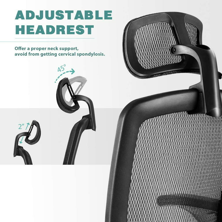  Dripex Ergonomic Office Chair, High Back Desk Chair, Computer  Mesh Chair with Lumbar Support, Adjustable Headrest & 2D Armrest,  90°-135°Tilt Function, 360° Swivel Home Office Task Chair, Black : Office  Products