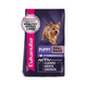 thumbnail image 1 of Alimento para perro Eukanuba Puppy Small Breed de 6.8Kg Eukanuba Puppy SB, 1 of 3