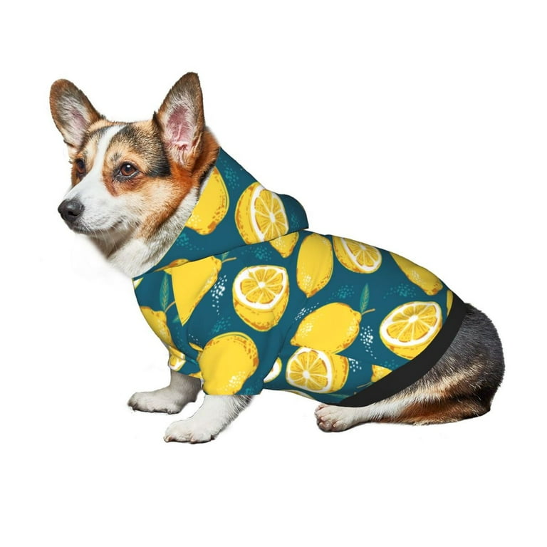 Xecao Lemon Pattern Sweatshirts Winter Pet Dog Hoodie Puppy Coat