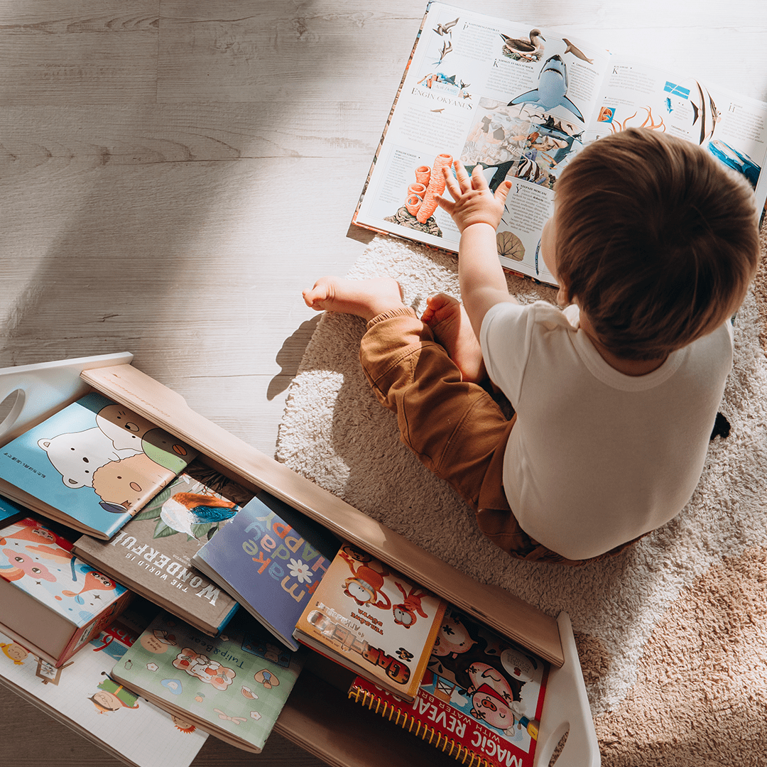 WoodandHearts Montessori Wooden 2-Shelves Adam Floor Bookshelf for Toddlers, White and Natural Wood