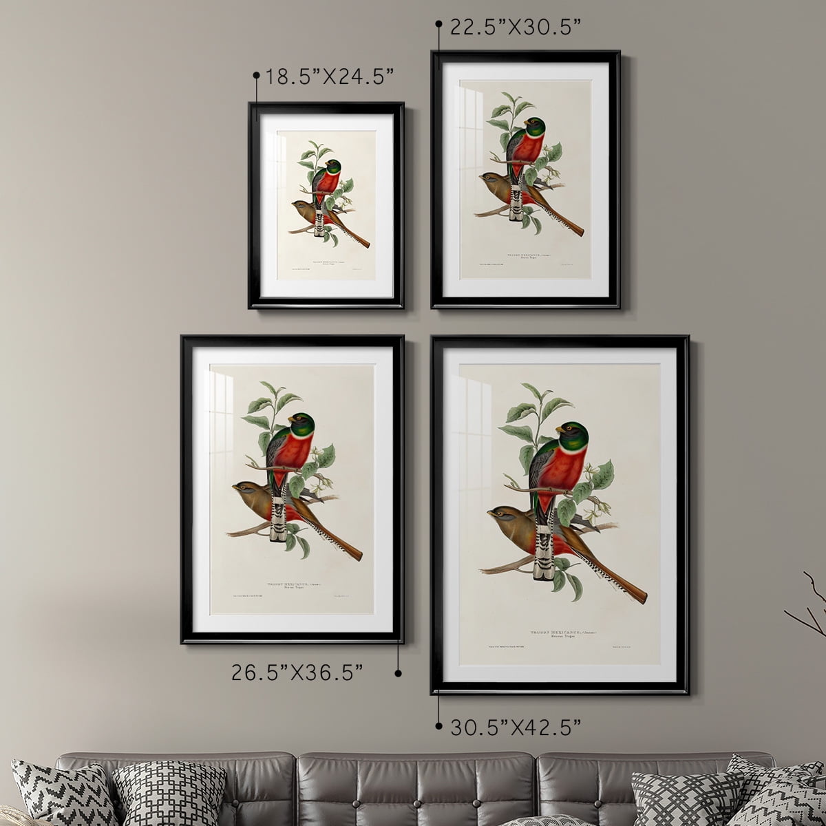 Wexford Home Elegant Trogons I Premium Framed Print, 18.5" x 24.5" - Ready to Hang, Black (Set of 2)