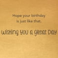 thumbnail image 3 of American Greetings Birthday Card for Anyone (Aww-some Fun), 3 of 3
