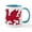 White/Blue Inside, variant on CafePress - Welsh Dragon Mug - 11 oz Ceramic Mug - Novelty Coffee Tea Cup