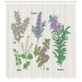 thumbnail image 3 of Ambesonne Herb Shower Curtain, Botanical Infographic Plants, 69"Wx84"L, Coconut and Multicolor, 3 of 3