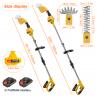 Dapmiu 2-in-1 Cordless Hedge Trimmer with Extension Pole, 21V Electric Grass Shear & Branch Cutter, 2 x 1500mAh Batteries, 30-40 Min Runtime for High Reach Pruning, Anti-Collision Safety Design.