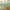C-sage Green, variant on Textured Rectangle Tablecloth Waterproof Wrinkle Free Fabric Table Cloth, Faux Linen Polyester Table Cover for Spring/Dining/Party/Wedding/Indoor/Outdoor (60 x 102 Inch Rectangular, Sage Green)