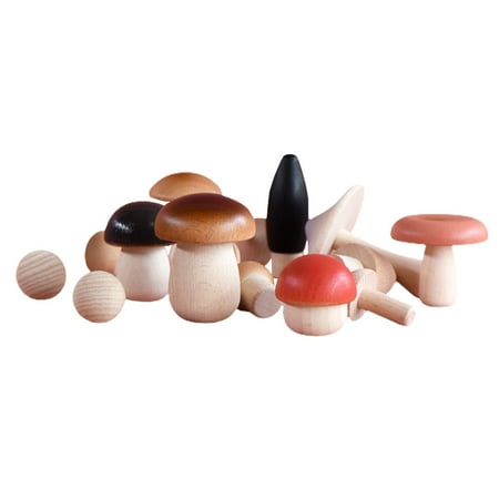 

HEMOTON 15Pcs Wooden Mushroom Toy Small Mushroom Decor Enlightenment Plants Craft