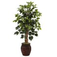 thumbnail image 1 of 44??Ficus Tree w/Decorative Planter, 1 of 5