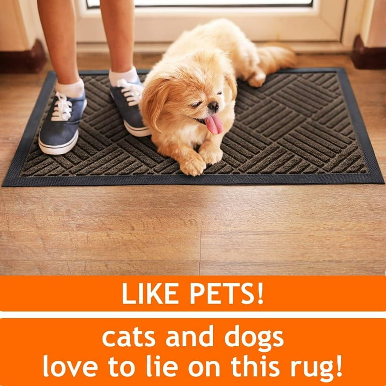 I Like Big Decks and I Can Not Lie doormat