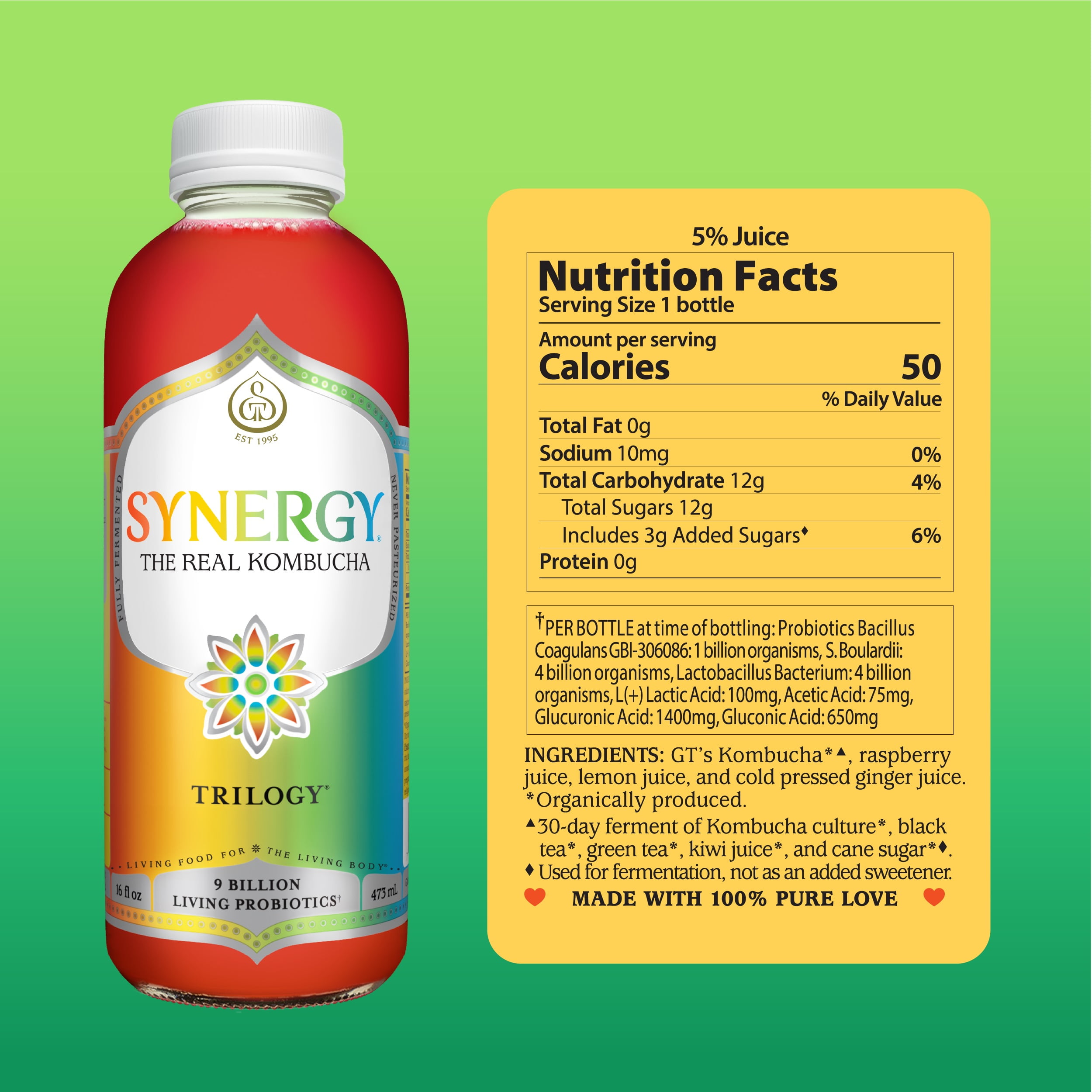 GT's Organic Raw Kombucha Variety Pack, Gingerberry Flavor