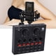 thumbnail image 5 of Consola de Mezcla de Audio ANGGREK Mezclador de Audio Doble Canal 48 KHz DJ1021, 5 of 8