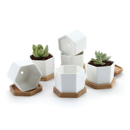 

Small White Succulent Planter Pots with Bamboo Tray Hexagon Set of 6 Geometric Cactus Plant Holder Container for Home Office Table Desk Decoration for Mom Aunt Sisiter Daughter Gardener
