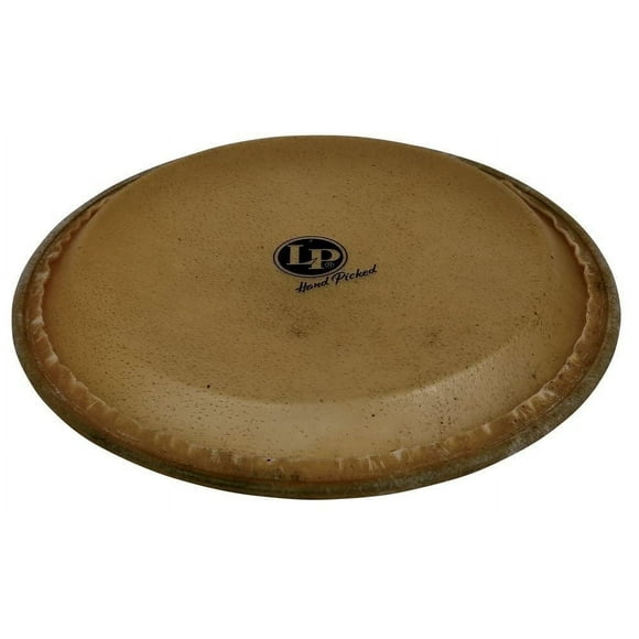 Cabezal de cuero crudo Quinto Latin Percussion LP274A Galaxy de 11 pulgadas
