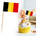 thumbnail image 1 of Country Flag Toothpicks | Cake And Burger Decorative Sticks | Flags For Themed Meals, 1 of 5