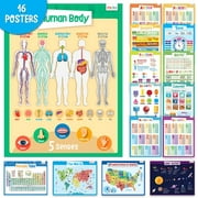 merka Educational Classroom Posters for Elementary, Preschool & Homeschool - Periodic Table, World Map, Solar System, Body Chart, Time, Money, Math & More! - Kids Learning Poster for Wall - 16pc Kit