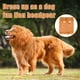 thumbnail image 5 of Disfraz de melena de león Kreyfer con orejas para perros de tamaño mediano a grande, 5 of 7