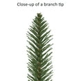 thumbnail image 6 of 6 ft Pre-Lit Alpine Artificial Pencil Tree, 6 of 7