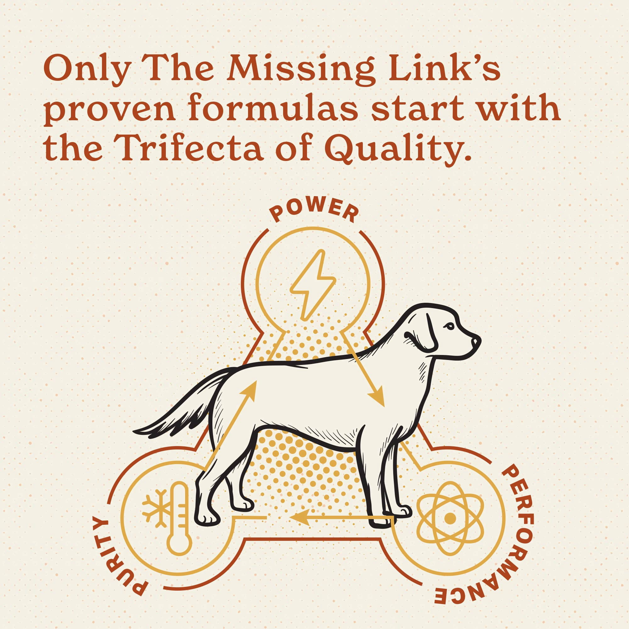 The Missing Link Superfood Powders Digestion Dog & Cat Supplement 1 lb Bag